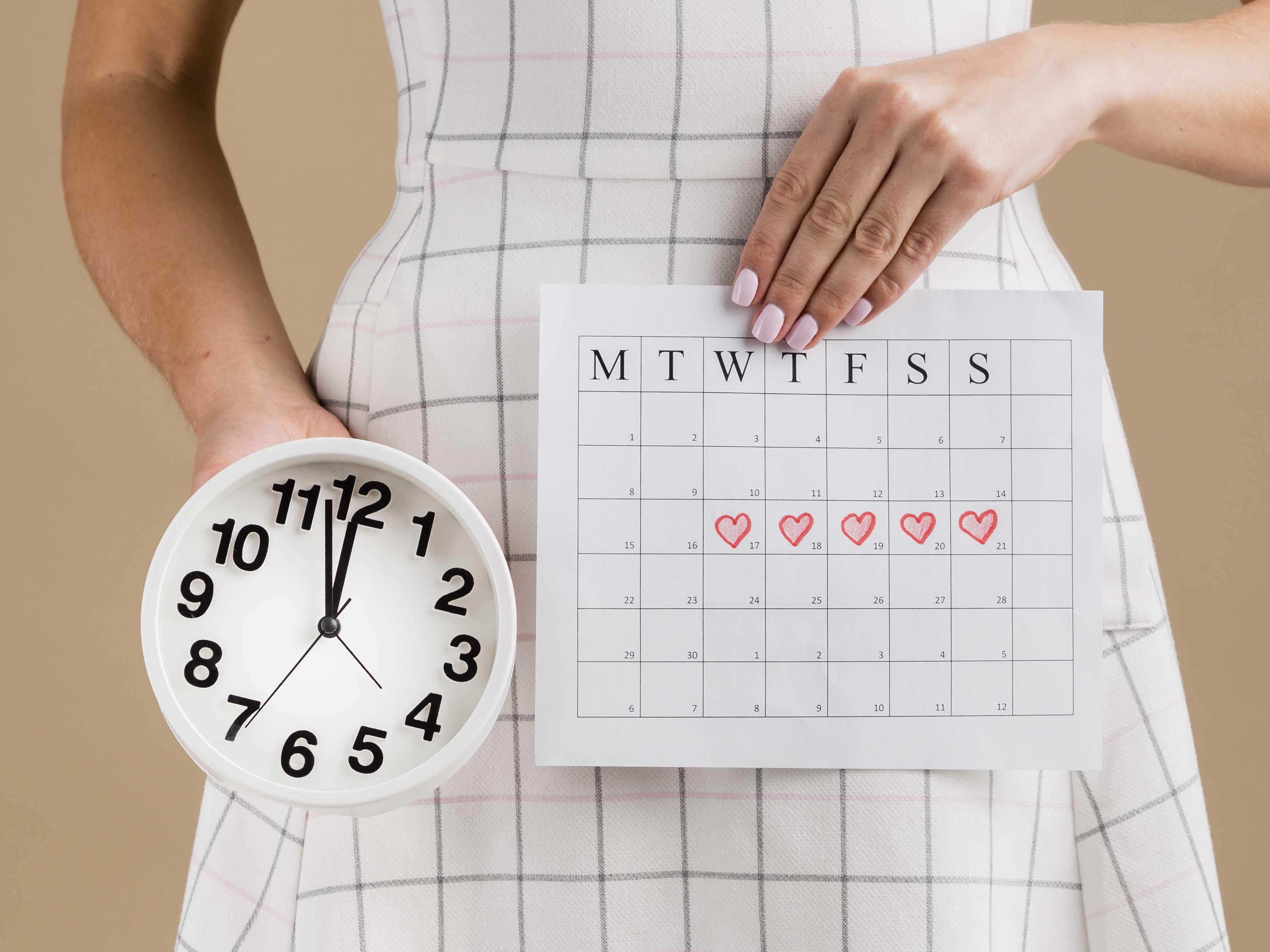 Menstrual Cycle & Ovulation